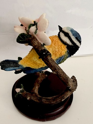 The blue tit - tit,