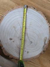 15 Wood Log Slices