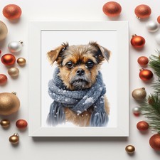 Border Terrier in a Winter