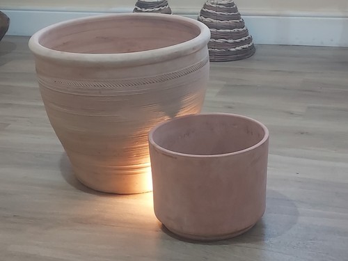 Plant pots terracotta hardly - plant,