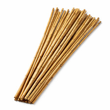 Large Bamboo Canes 1.8m / 6ft