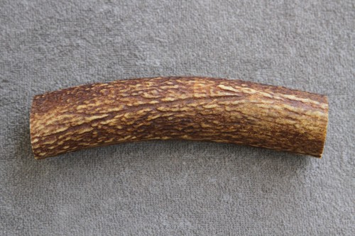 Real red deer antler piece - deer, /
