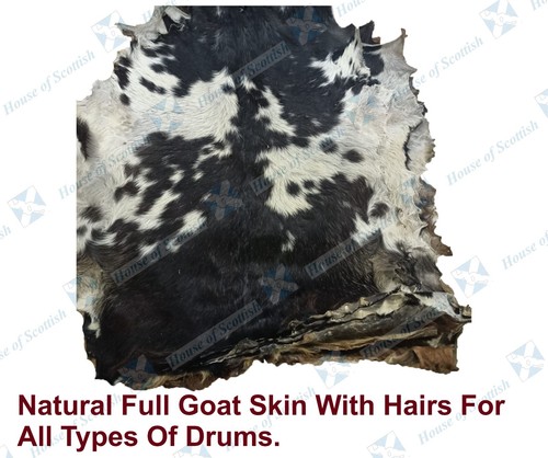 Full animal goat - full, skins
