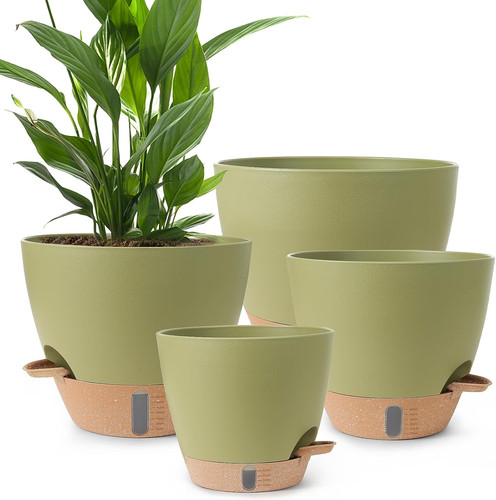Plant pots 8 inch - plant, pots,12/10/9/8/