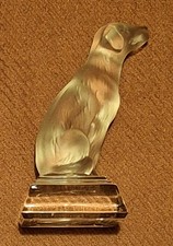 Vintage Labrador Retriever in