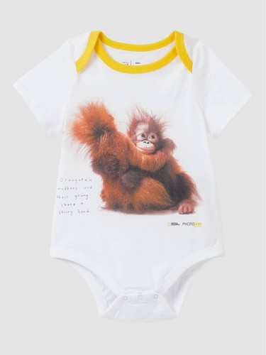 New nwt months baby - nwt, 6-12