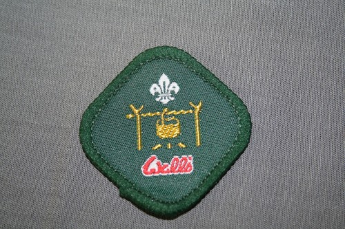 Vintage scout badge - -, camp