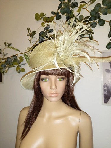 Cappelli condici tarragon - condici,