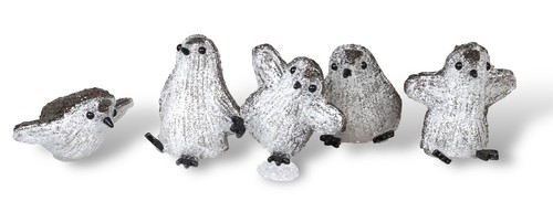 Penguin light scene - penguin,