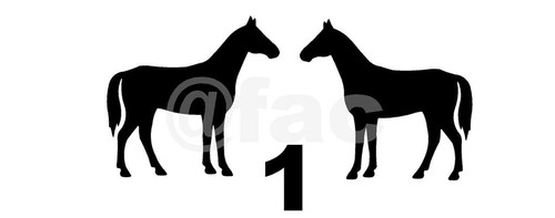 Horse silhouettes decals - horse,