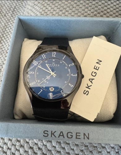 Skagen sundby titanium - skagen,