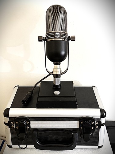 Customized mxl the - in,