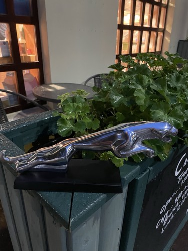 Jaguar aluminium leaping - jaguar,