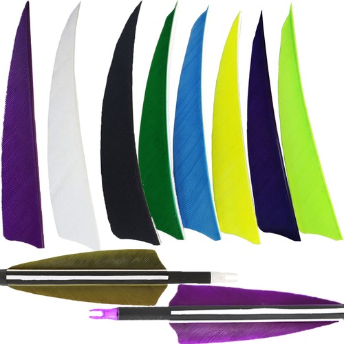 30x archery arrows turkey - archery,