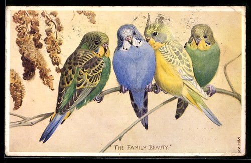 Artist postcard signed - artist,