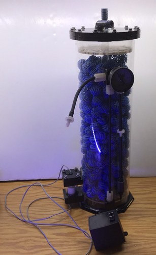 Ocean life reactor salt - ocean, 20"