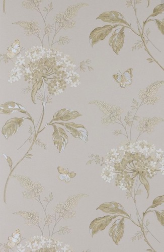 Colefax and fowler rolls - colefax,