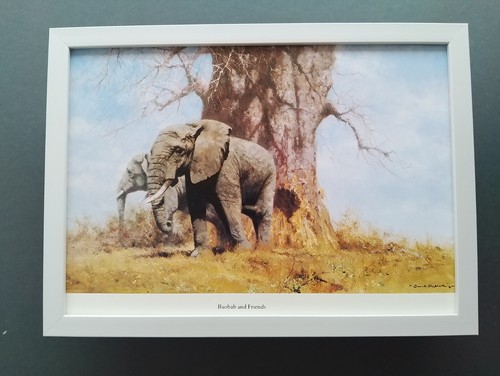 David shepherd print baobab - david, 'baobab
