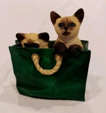 Gorgeous Kittens In Shopping