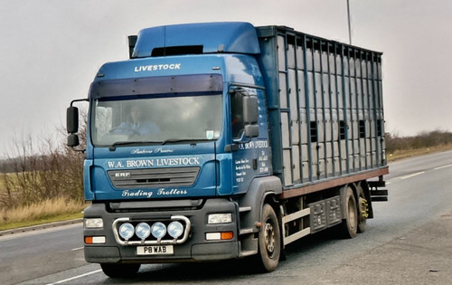 Livestock lorries erf - lorries,