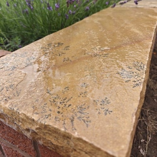 Fossil mint coping stone - mint,