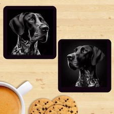 German Shorthaired Pointer
