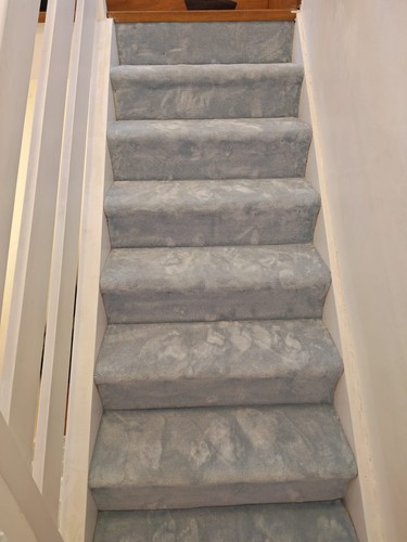 Sylka carpet luxury - sylka, carpet,