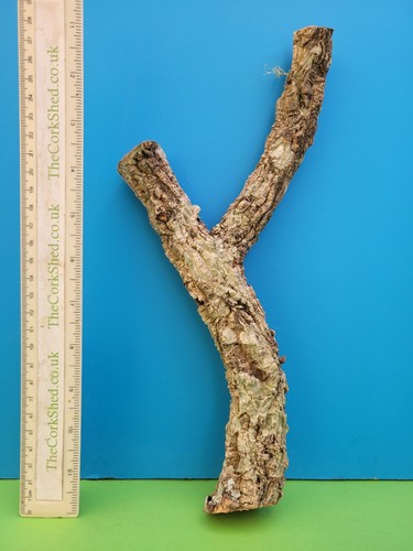 Cork bark branch 31cm snake - bark,