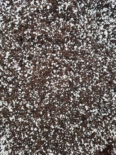 Premium grade carnivorous - ,