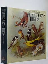 Thorburn's Birds - Thorburn
