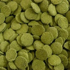 ProRezult Algae Wafers 6%