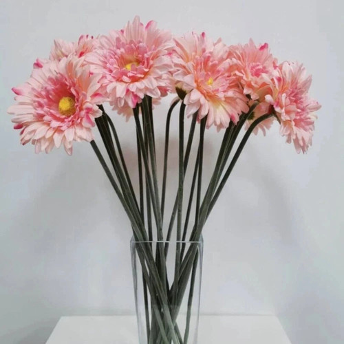 Single stem gerbera flower - gerbera,