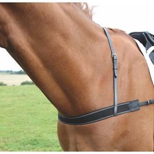 Shires Velociti GARA Elastic