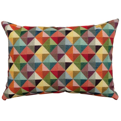 Multicoloured harlequin - multicoloured,