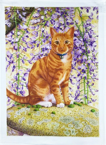 The ginger cat - the,