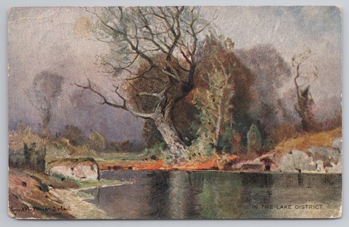 The lake district gwilt - district,