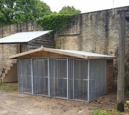 Four bay kennel - 10, ft