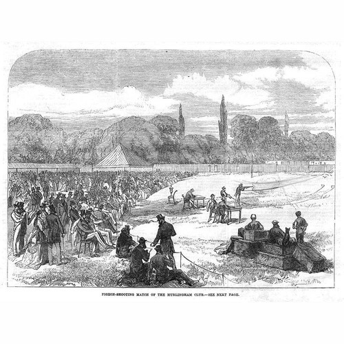 London pigeon shooting - london,