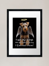 Angel dogs - Welsh Terrier