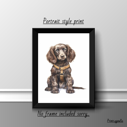 Field spaniel dog pet - dog, a4