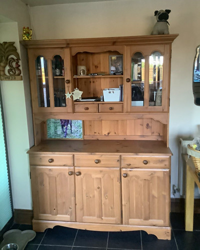 Traditional brown welsh - traditional,