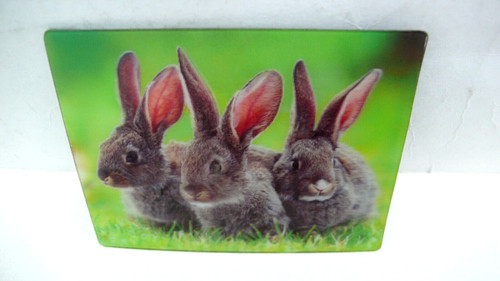 Fridge magnet rabbit - 3d,
