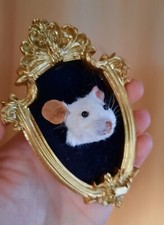 Taxidermy Mouse Head mounted