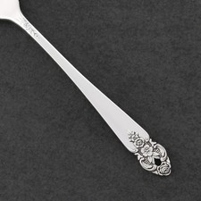 Oneida DISTINCTION Silver