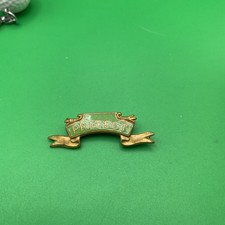 Prefect Vintage Badge in green