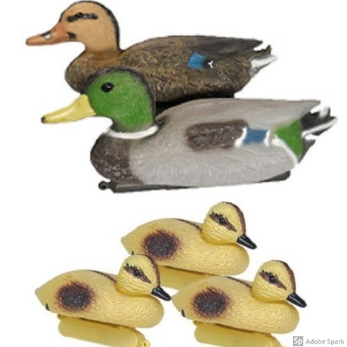 Floating duck family decoy - floating,