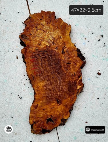 Olive root wood - olive,