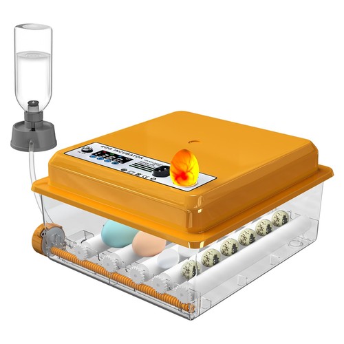 Chalixion incubator eggs - incubator, 16