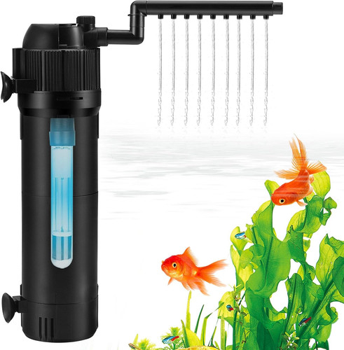 Internal fish tank - fish,