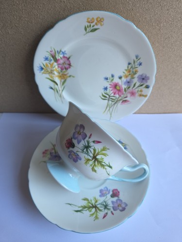 Shelley bone china wild - shelley,